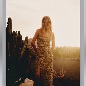 Zara Strapless Tulle Dress